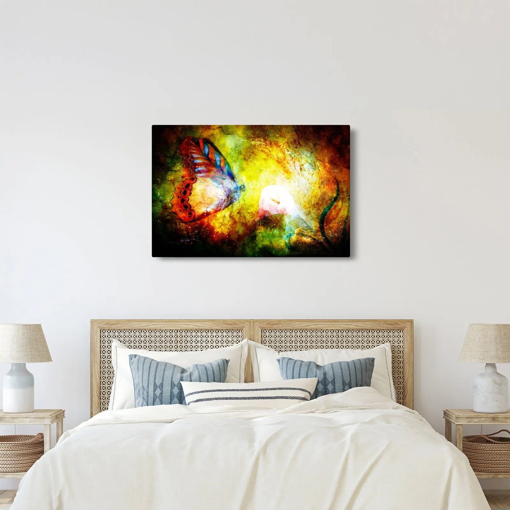 Tablou - Fluture spațial (90x60 cm)