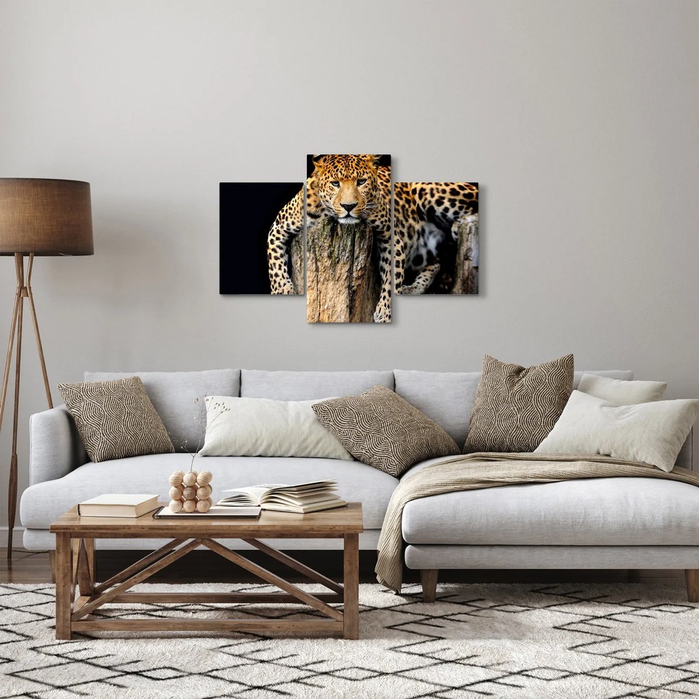 Tablou - Ghepard (90x60 cm)