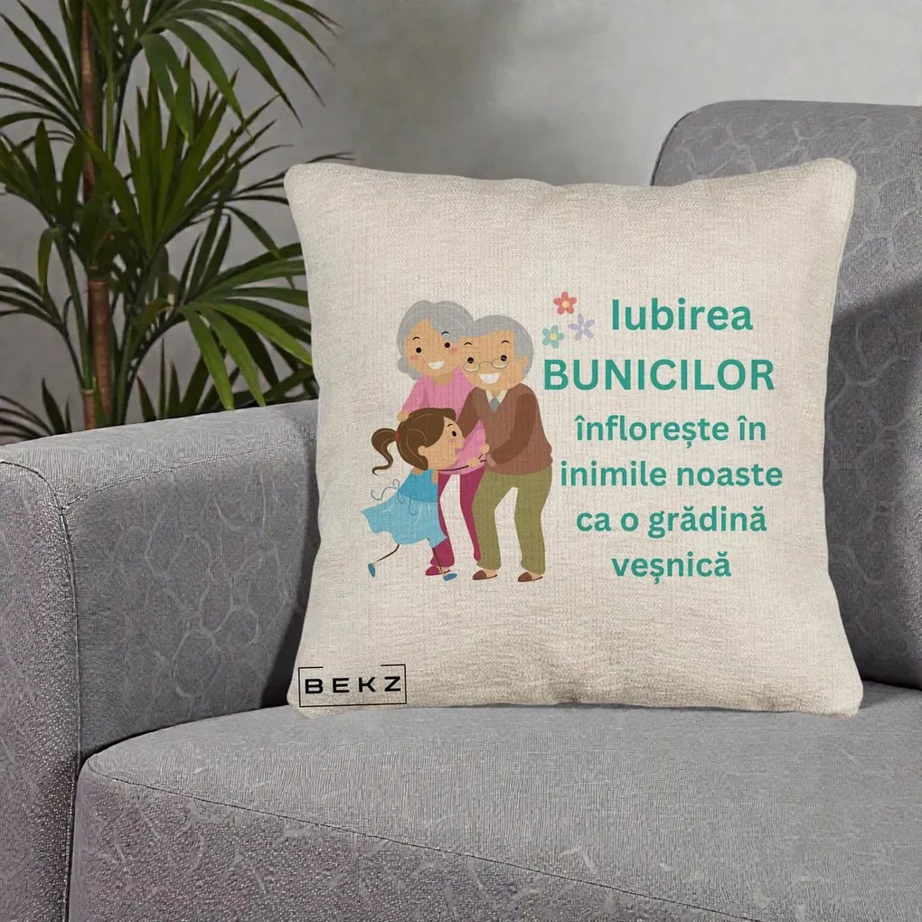 Cadou pentru Bunici - Perna Personalizata Bunicii Iubirea Infloreste cu Nepoata Teal, 40x40 cm, Bej Canapea, Husa Detasabila, Perna Inclusa, BEKZ®