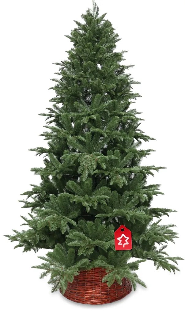 Brad Caucazian 100 % 180 cm