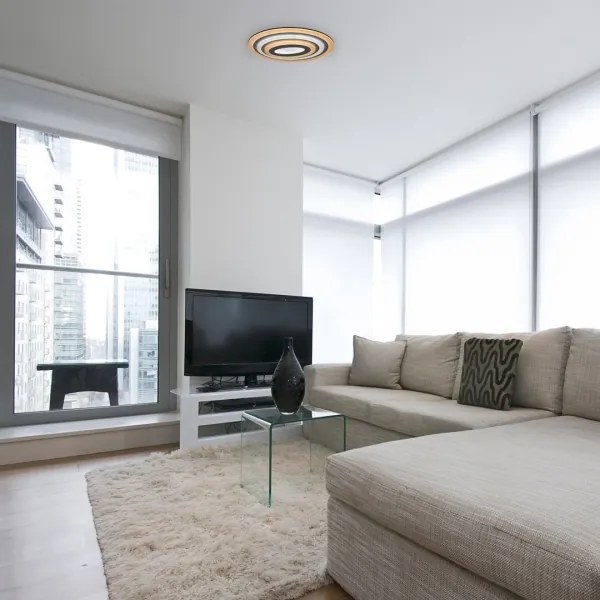 Rabalux 3097 - Plafonieră LED dimabilă TANELI LED/41W/230V + telecomandă