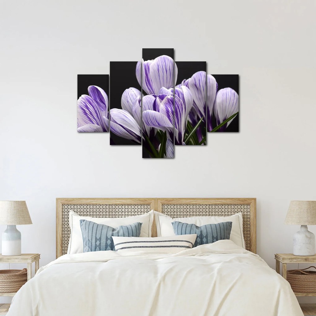 Tablou - Crocus violet (150x105 cm)