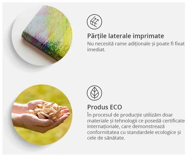 Tablou din plută - Human's Kingdom [Cork Map]