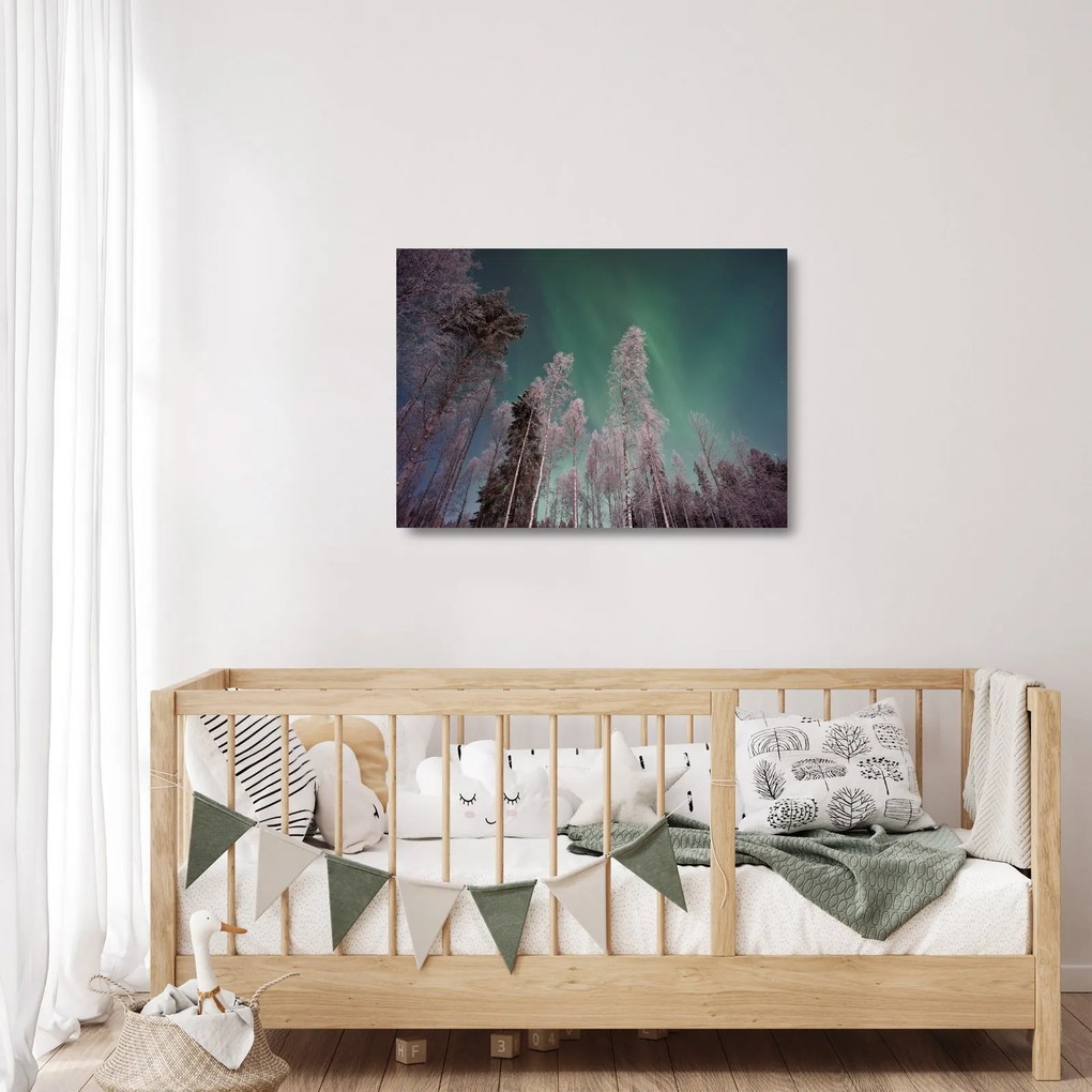 Tablou pe sticlă cu aurora borealis deasupra pomilor înghețați (70x50 cm)