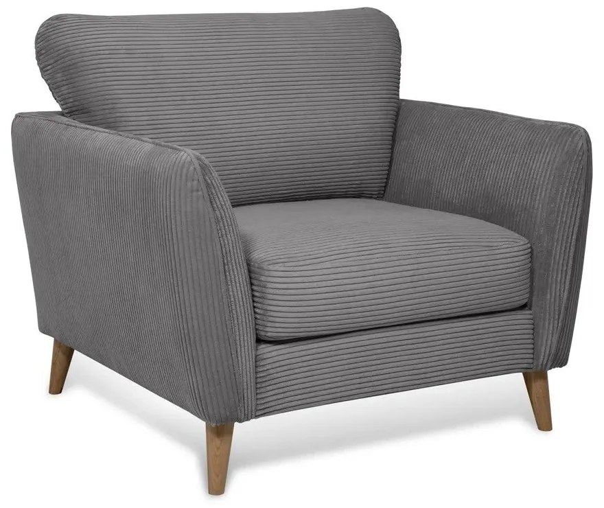 Fotoliu gri închis cu tapițerie din catifea reiată Paris – Scandic