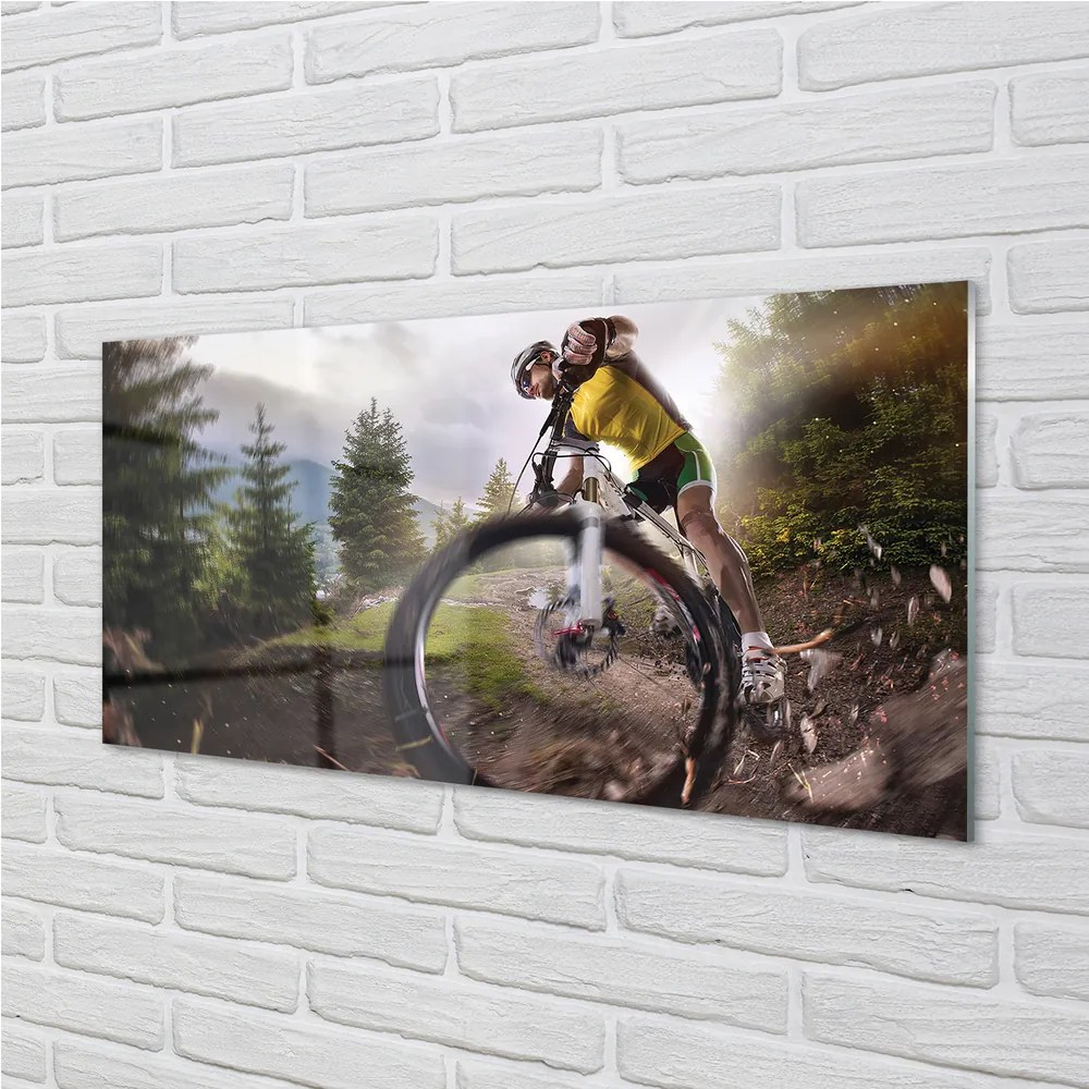 Tablouri pe sticlă Cloud mountain bike