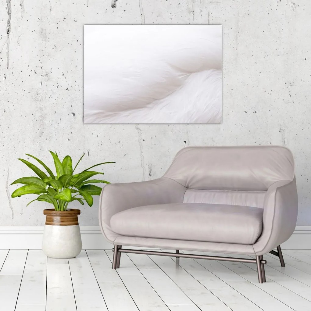 Tablou - Detalii pene (70x50 cm)