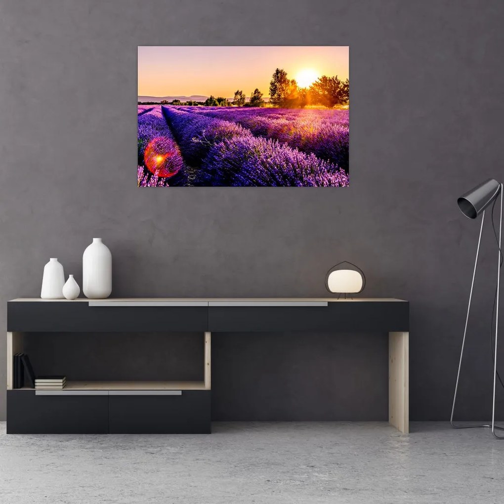 Tablou cu câmp de lavandă, Provincie (90x60 cm)