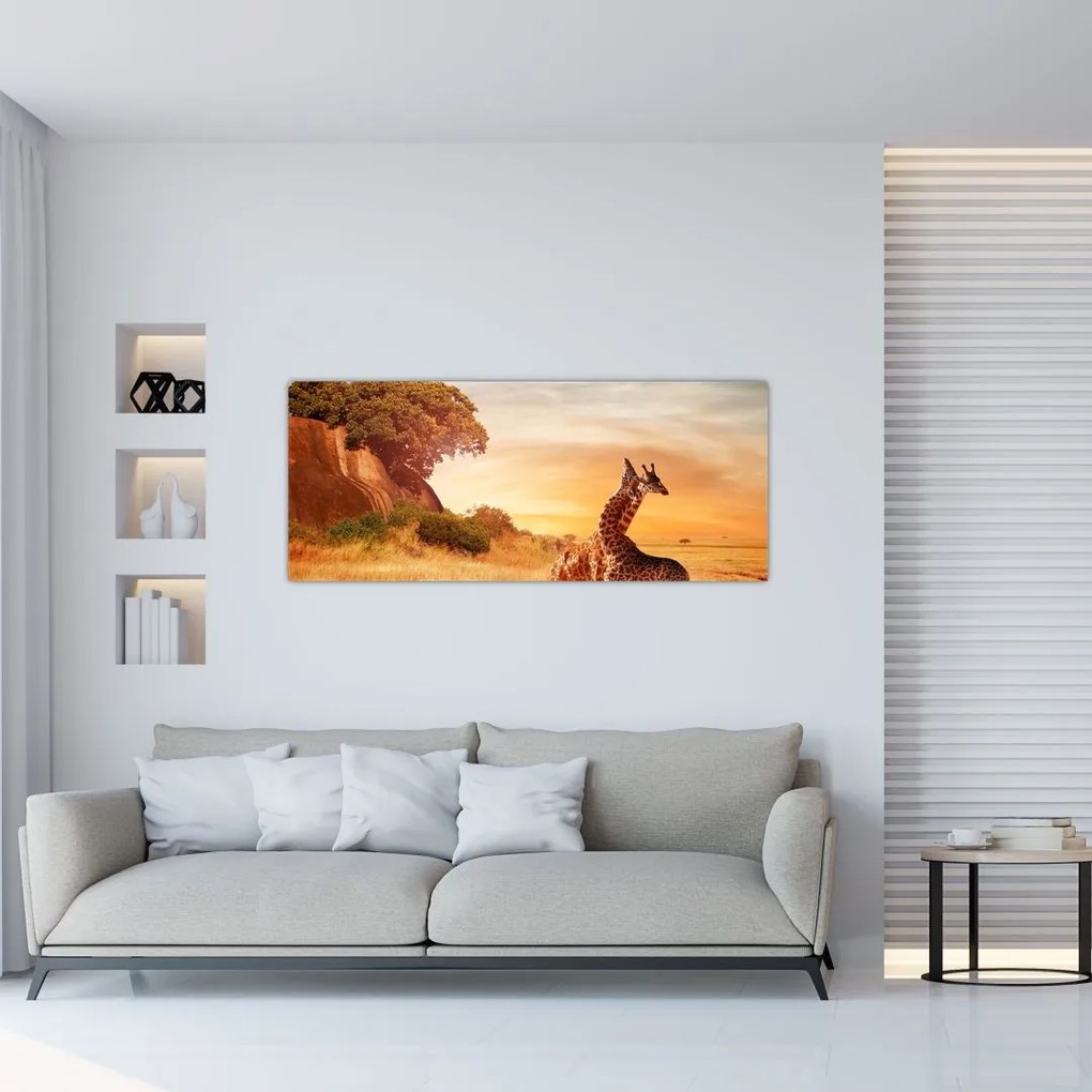 Tablou Girafe în Africa (120x50 cm)