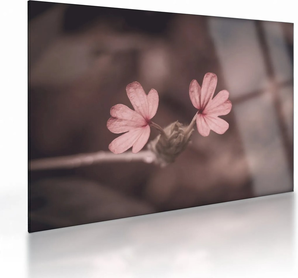 Tablou pe sticlă cu floare roz (70x50 cm)