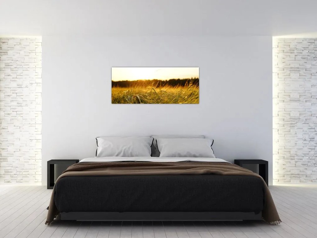 Tablou iarba cu rouă (120x50 cm)