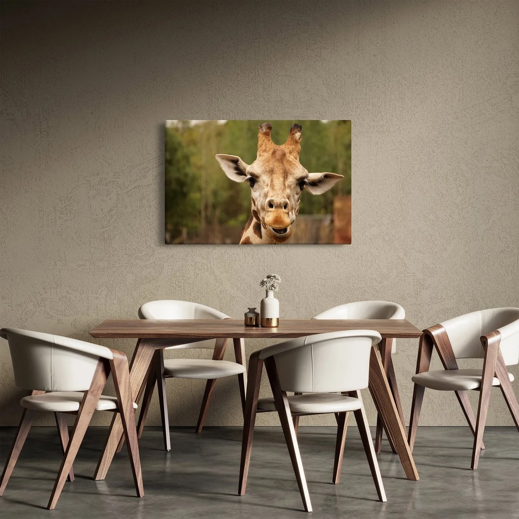 Tablou girafe (90x60 cm)