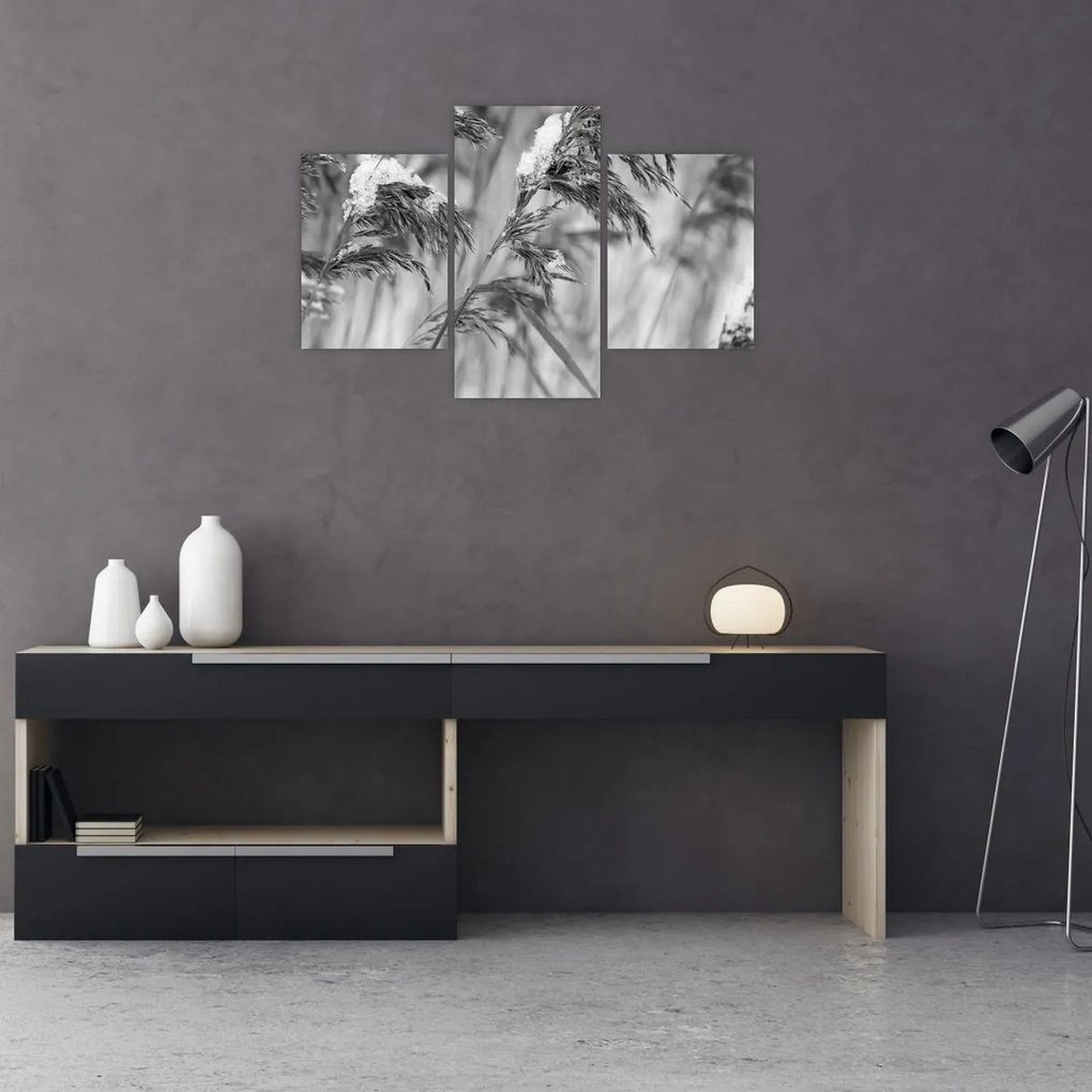 Tablou - Tei,alb-negru (90x60 cm)