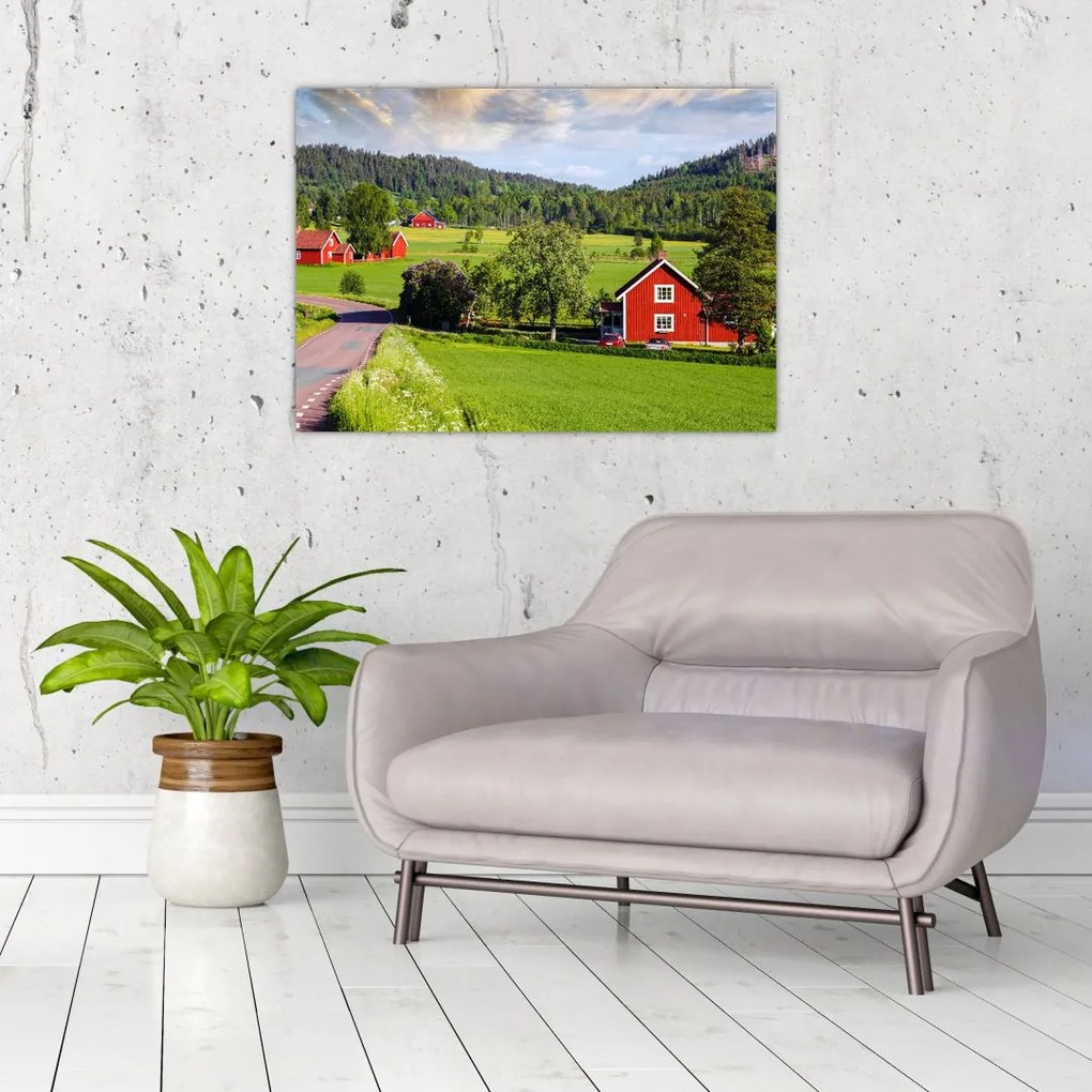 Tabloul cu țară (70x50 cm)