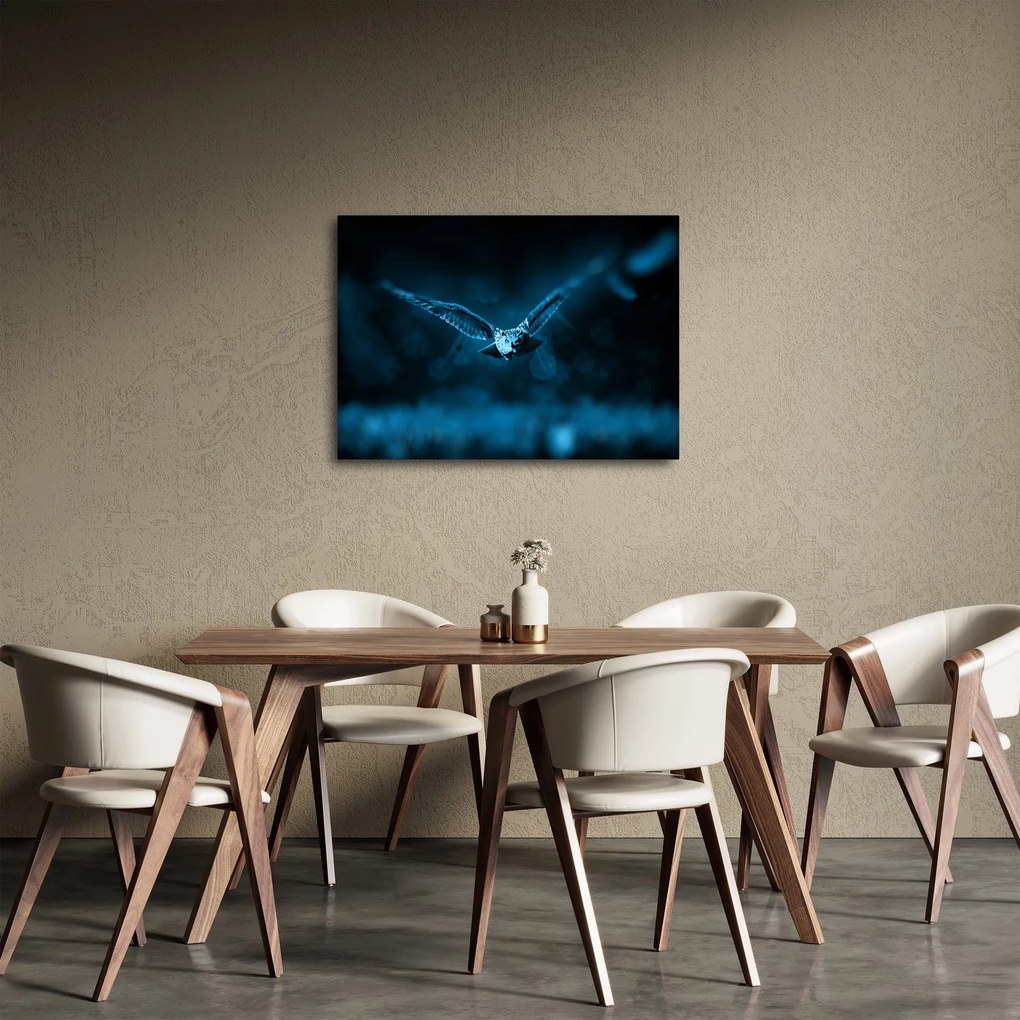 Tablou cu bufnița zburând (70x50 cm)