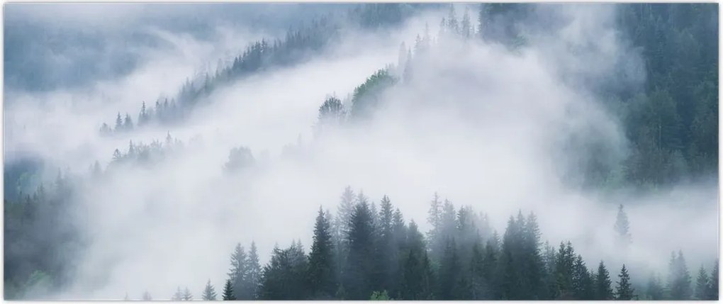 Tablou - Copacii în ceață (120x50 cm)