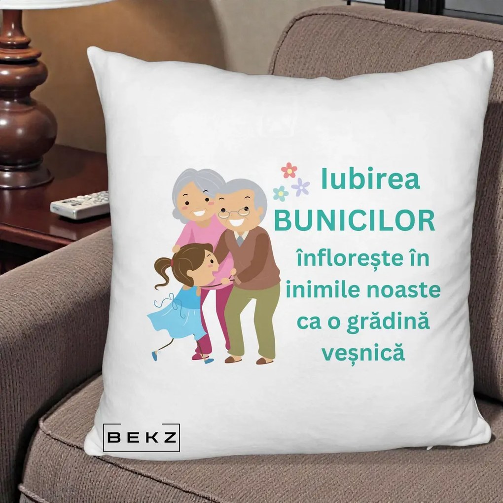 Cadou pentru Bunici - Perna Personalizata Bunicii Iubirea Infloreste cu Nepoata Teal, 40x40 cm, Alb Pufos, Husa Detasabila, Perna Inclusa, BEKZ®