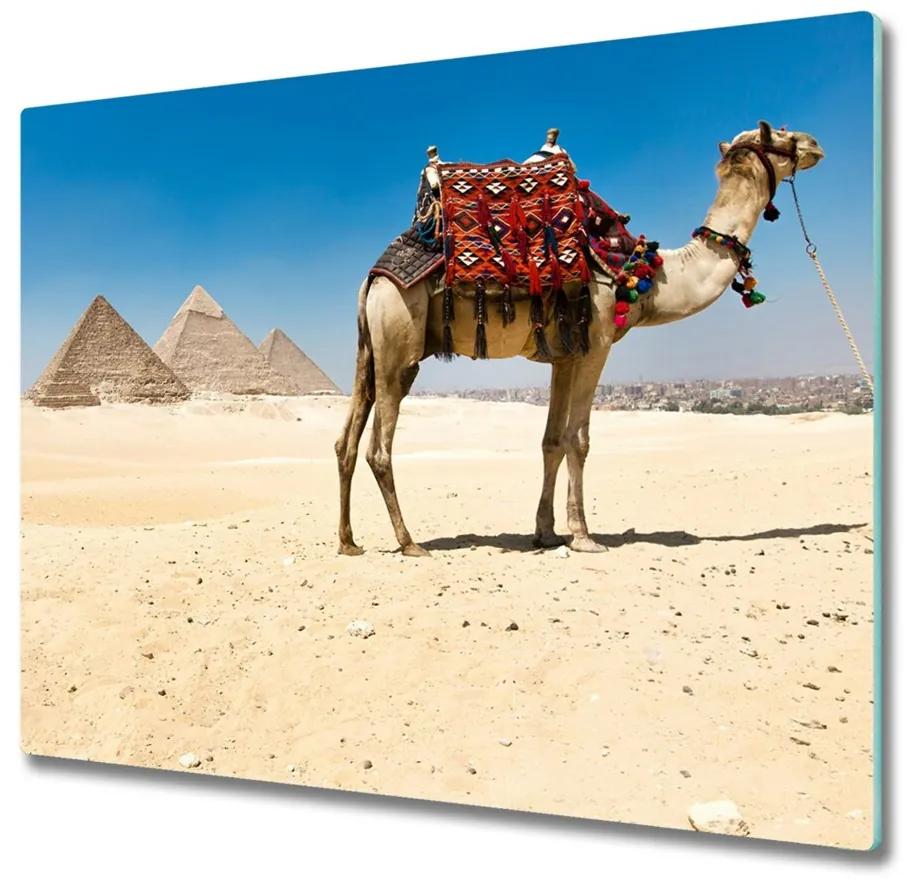 Tocator din sticla Camel în cairo