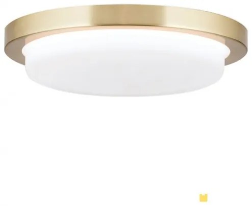 Plafoniera LED moderna LEROX 20cm alama mat