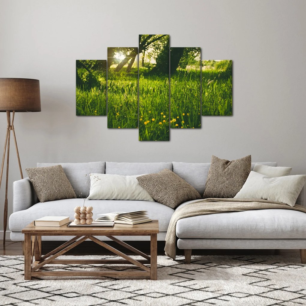Tablou cu natura - lunca (150x105 cm)