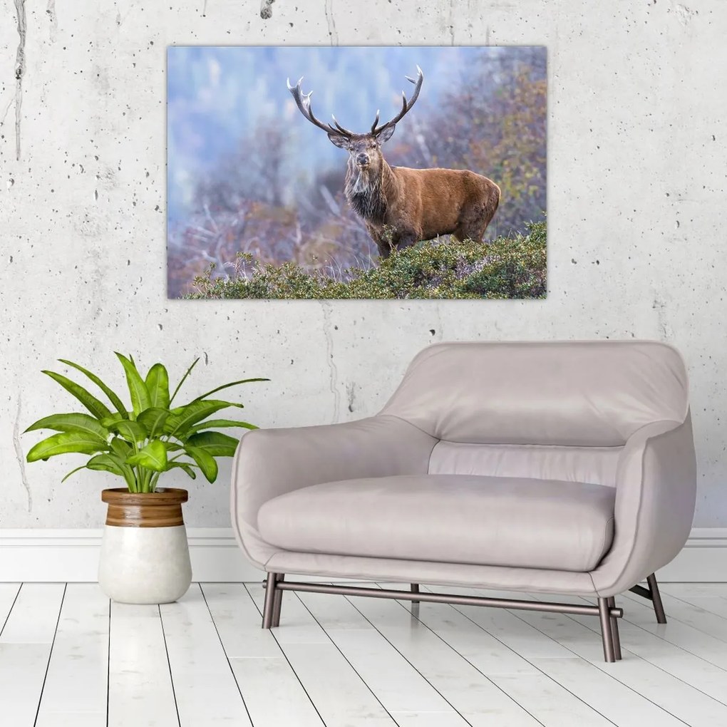 Tablou - Cerb în peisaj (90x60 cm)