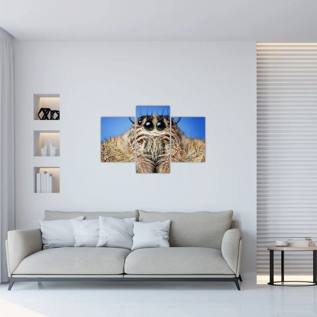 Tablou cu detalii a unui pâianjen (90x60 cm)