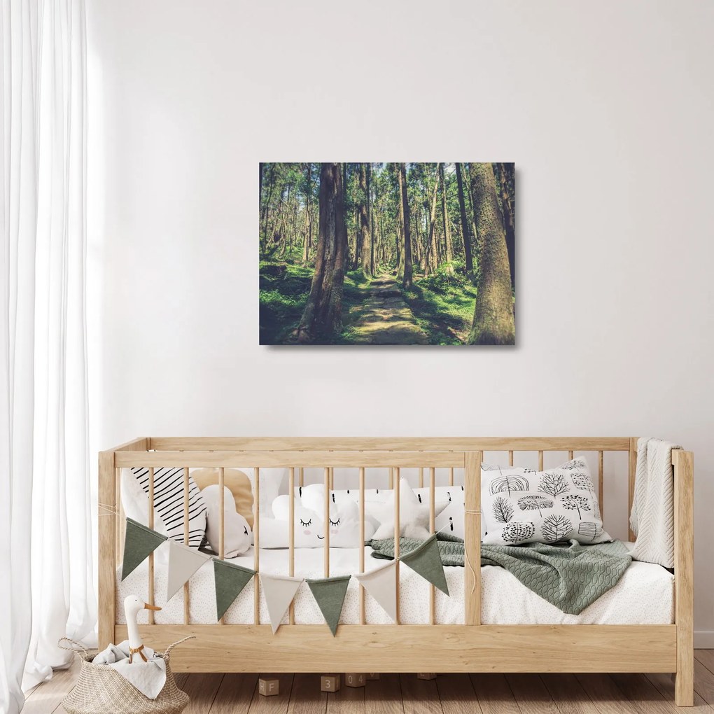 Tablou pe sticlă cu drum între copaci (70x50 cm)
