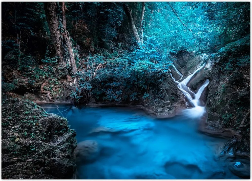 Tablou - Noaptea magică în pădurea tropicală (70x50 cm)