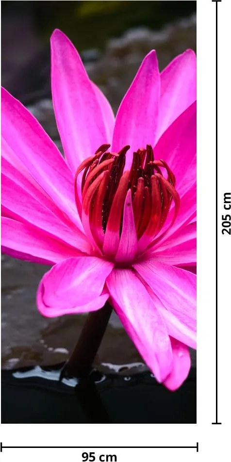 Fototapet pentru ușă - Floare roz (95x205cm)