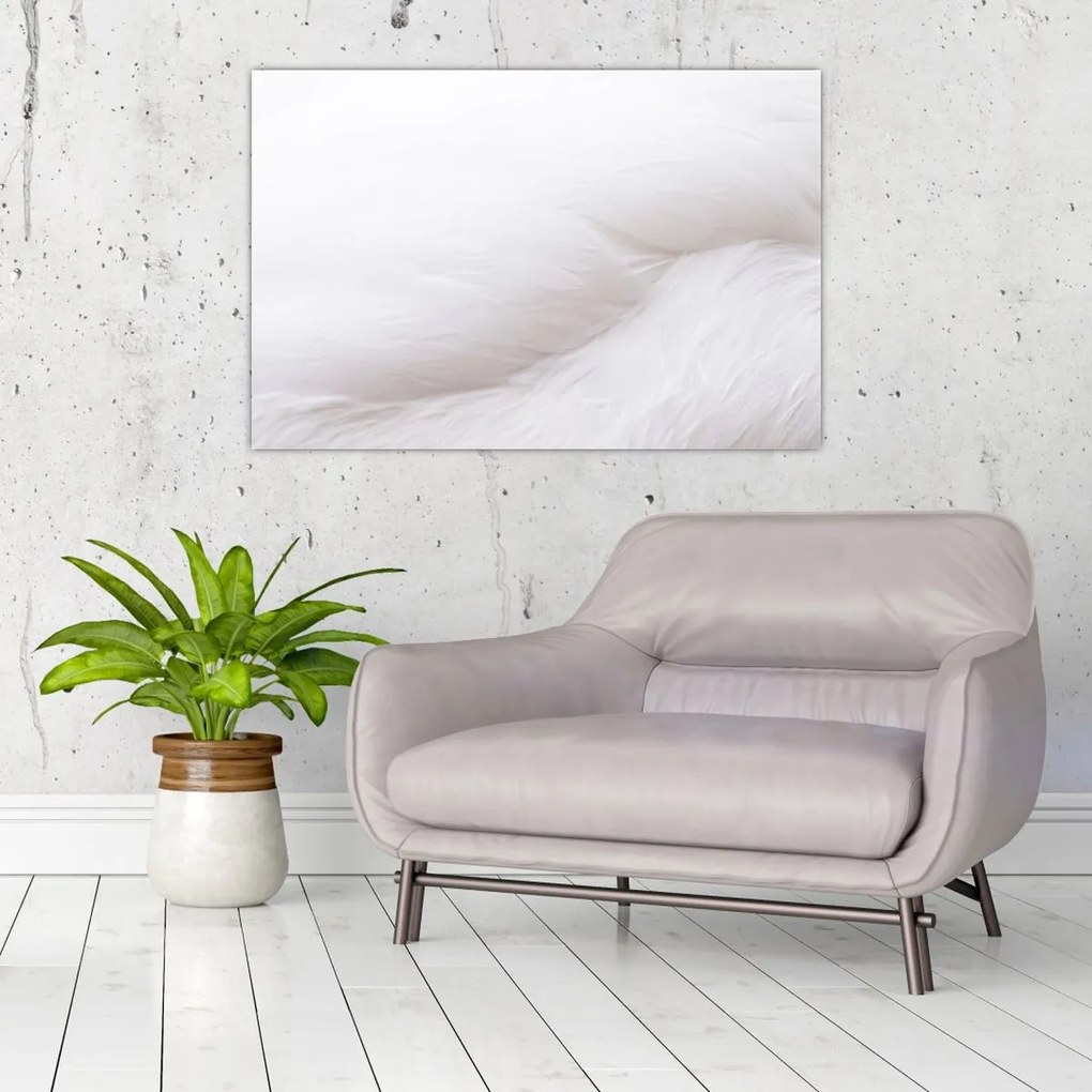 Tablou - Detalii pene (90x60 cm)