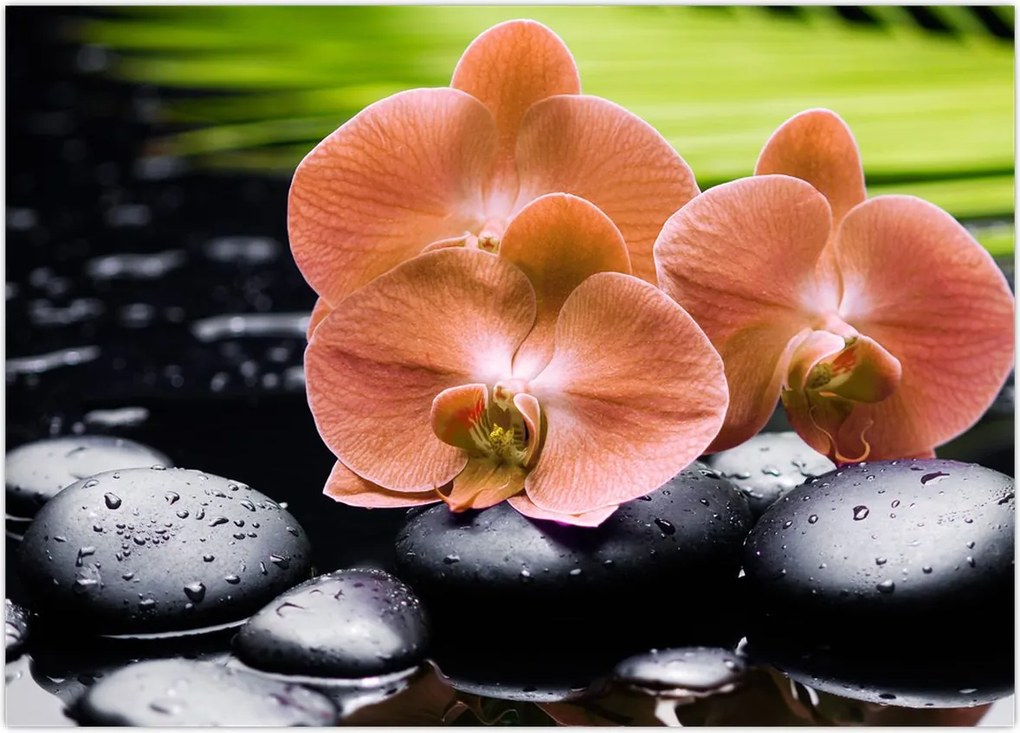 Tablou - Orhidee portocalie cu frunze de palmier (70x50 cm)