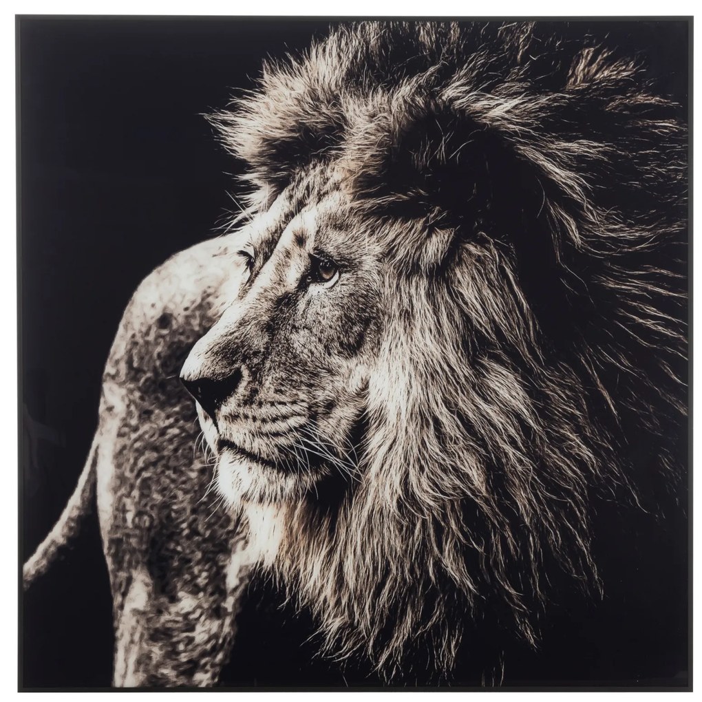 Tablou inramat Lion, Sticla, Alb Negru, 101.56x2.5x100.5 cm