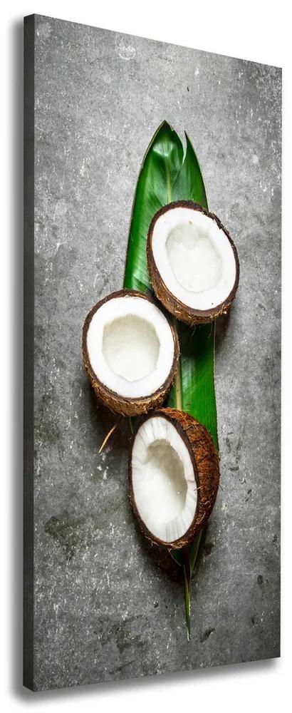 Imprimare tablou canvas Pe frunze de nucă de cocos