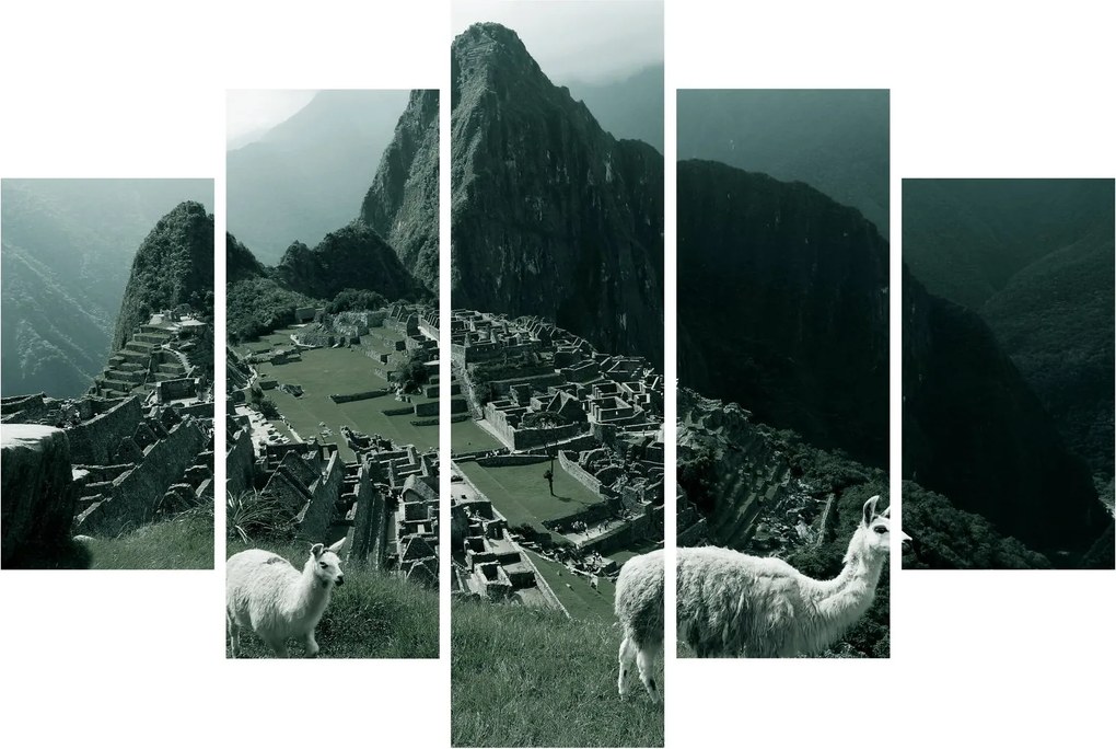 Tablou - Lamas la Machu Picchu în Peru (150x105 cm)