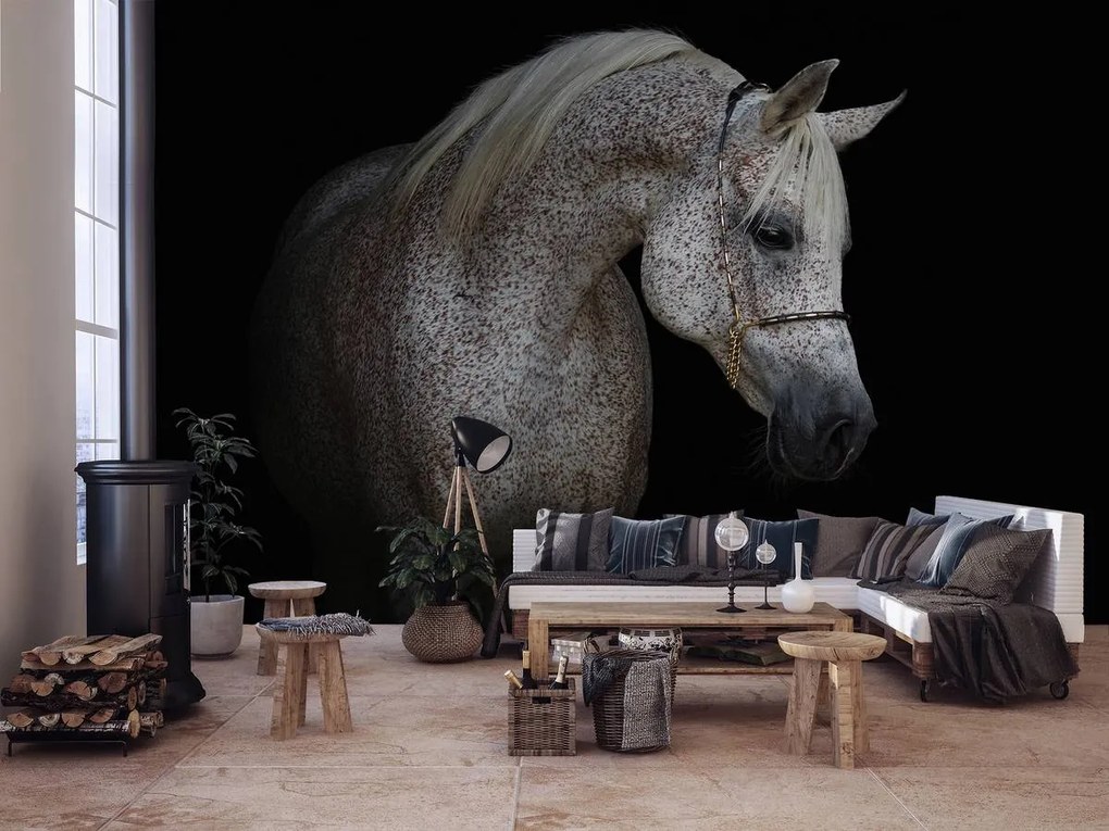Fototapet - Calul alb (152,5x104 cm)