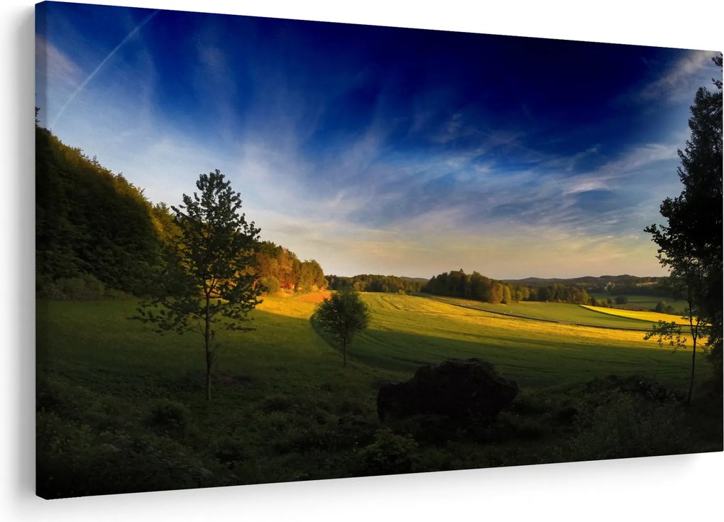 Tablou - Lunca de munte (90x60 cm)