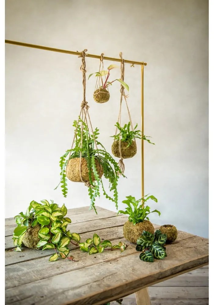 Ghiveci ø 9 cm Kokedama – Esschert Design