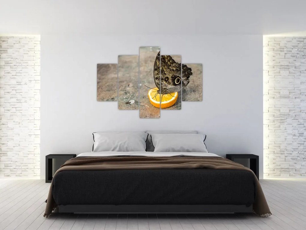Tablou cu fluturi (150x105 cm)