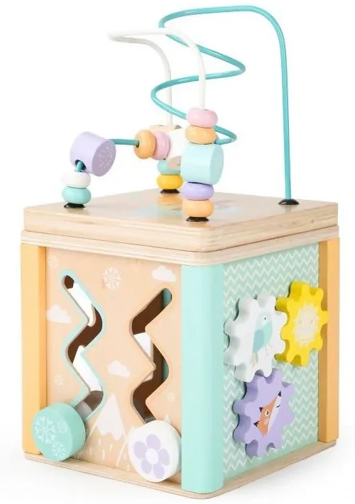 Cub educativ din lemn, cu accesorii Kid
