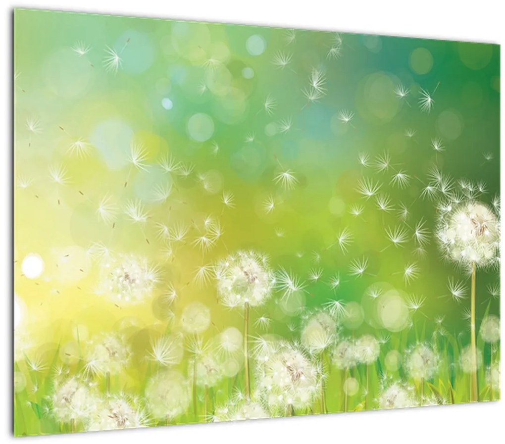 Tablou - Păpădie înflorită (70x50 cm)