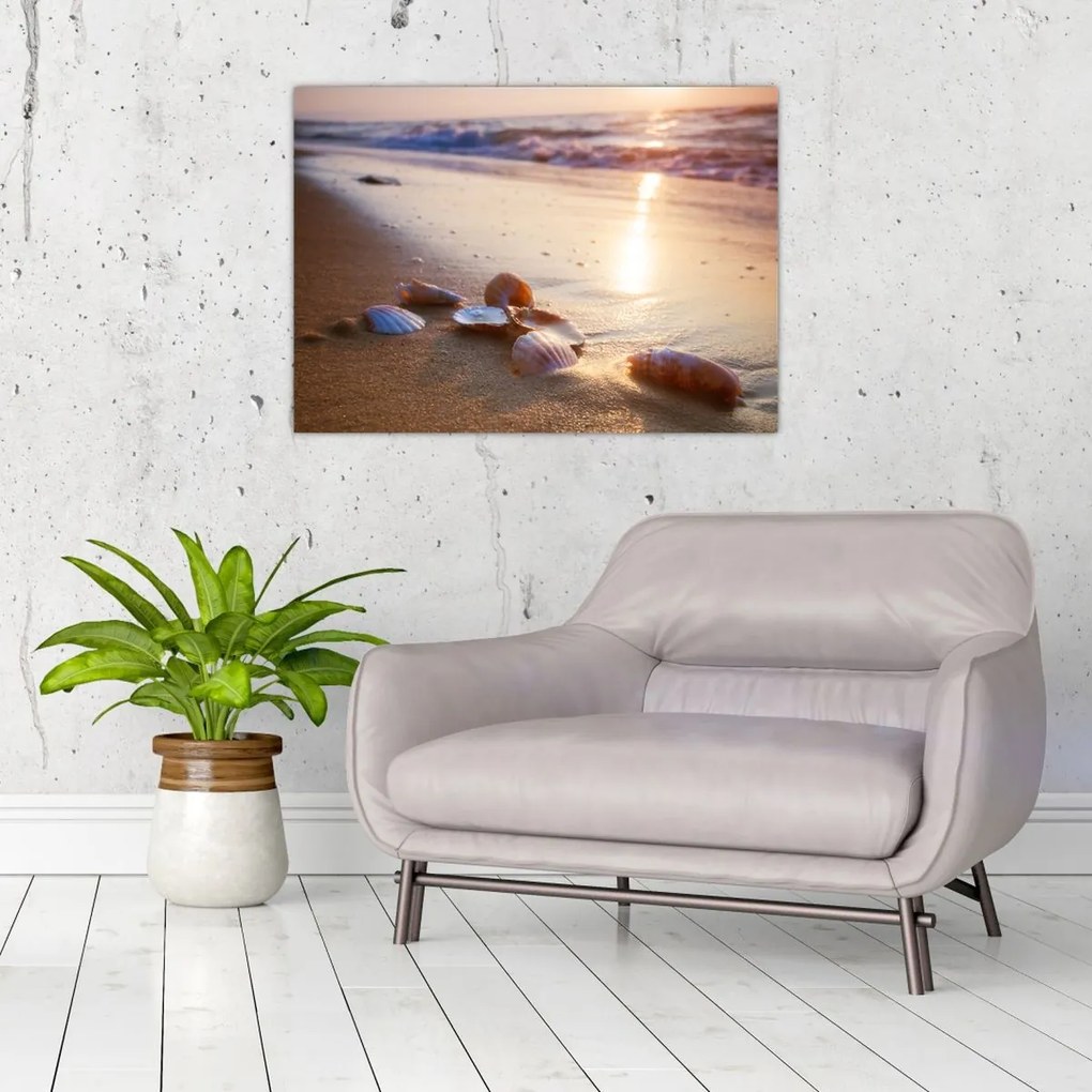 Tablou - Scoici (70x50 cm)