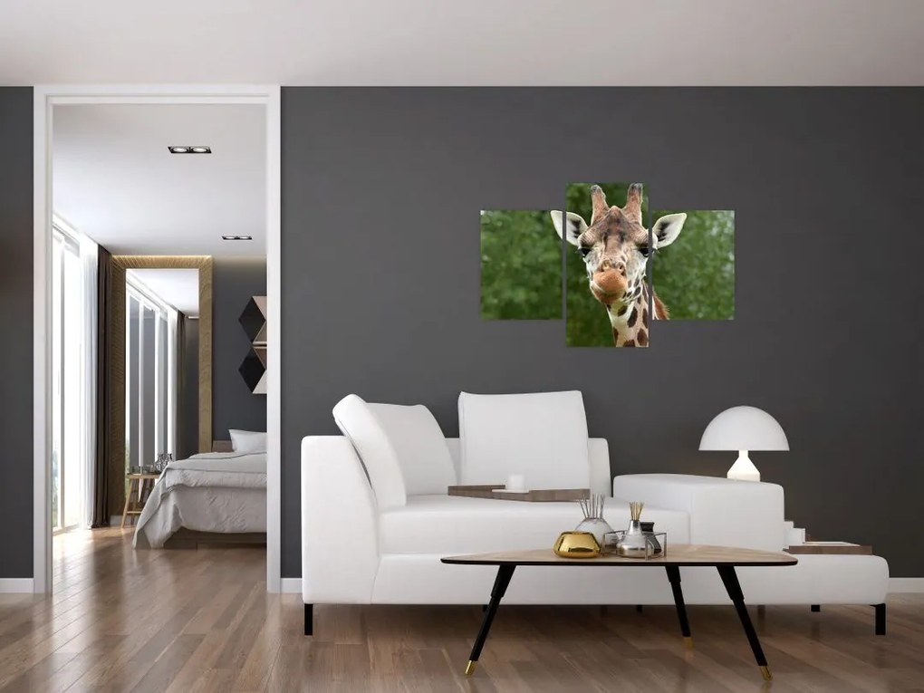 Tablou cu girafa (90x60 cm)