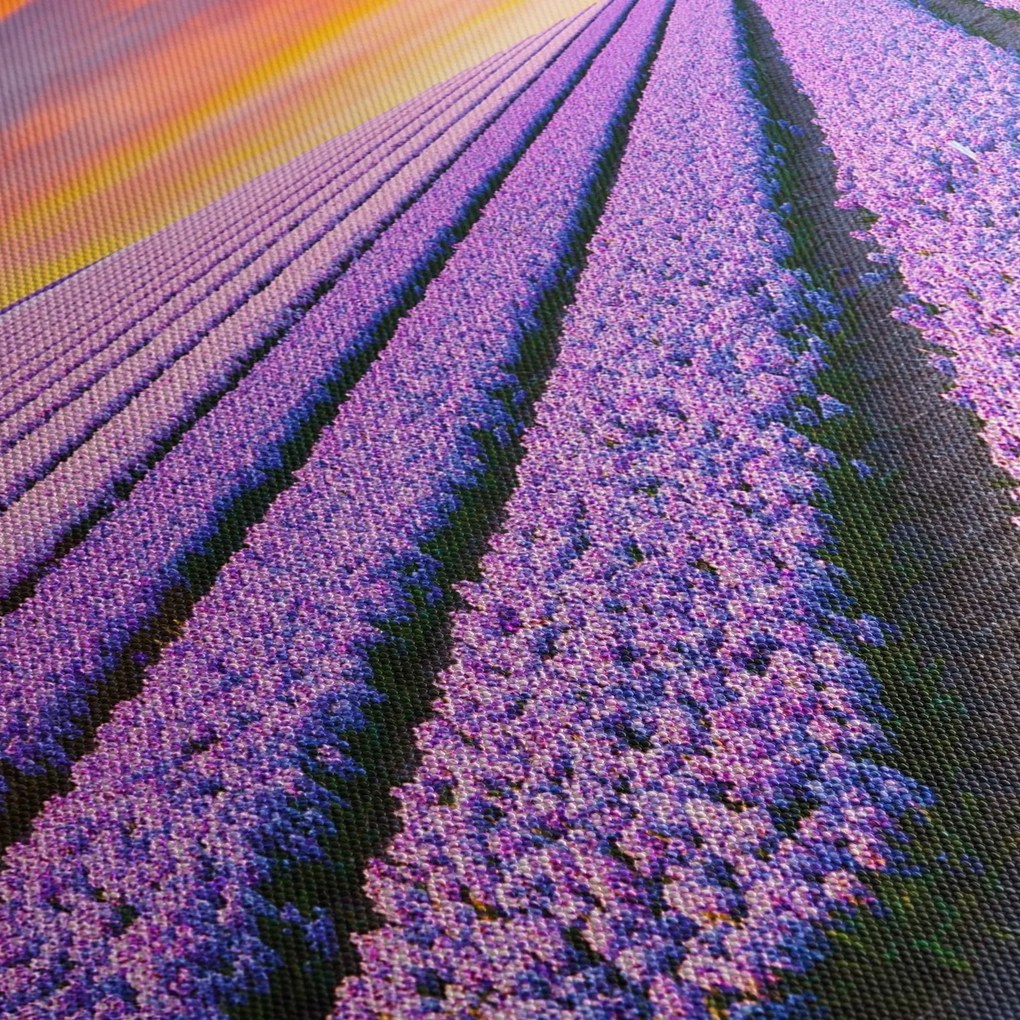 Tablou - ferma cu flori (cu ceas) (90x30 cm)