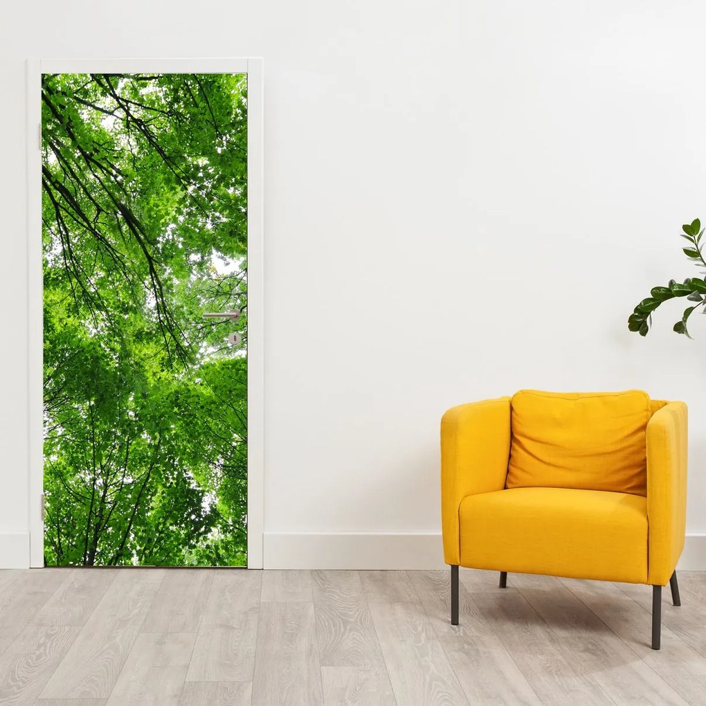 Fototapet pentru ușă - Coroana copacilor (95x205cm)