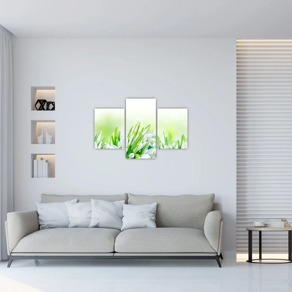 Tablou - Ghiocei (90x60 cm)