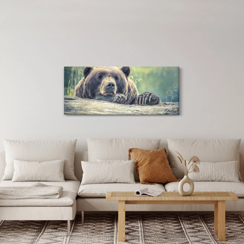 Tablou cu urs (120x50 cm)