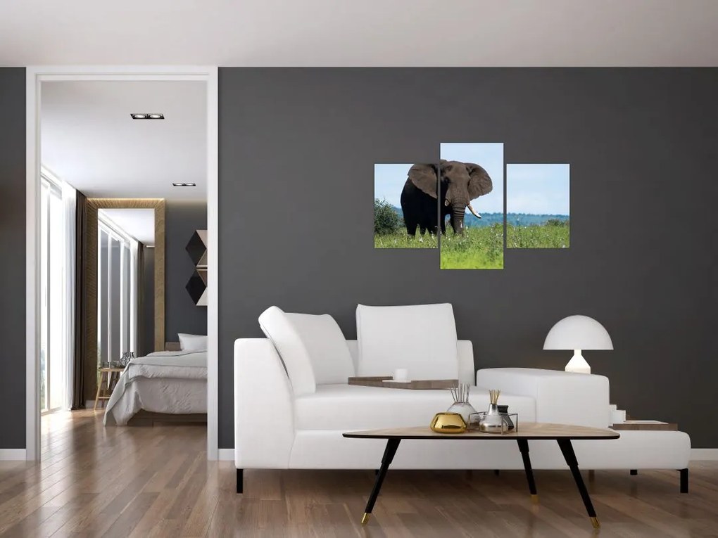Tablou cu elefant (90x60 cm)