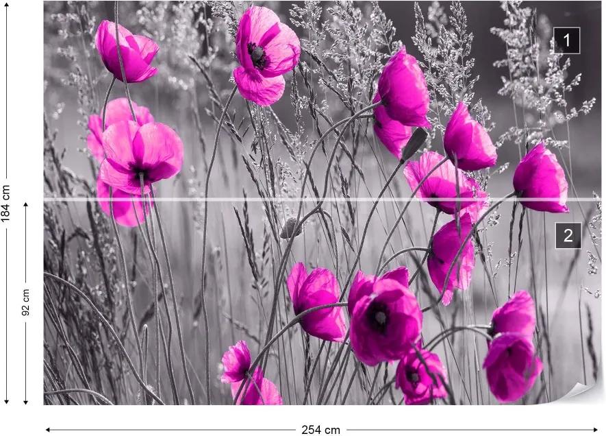 GLIX Fototapet - Purple Poppies Black And White Vliesová tapeta  - 254x184 cm