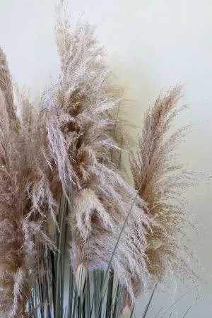 Plantă artificială decorativă, tip stuf verde, H170 cm, „Fleur”