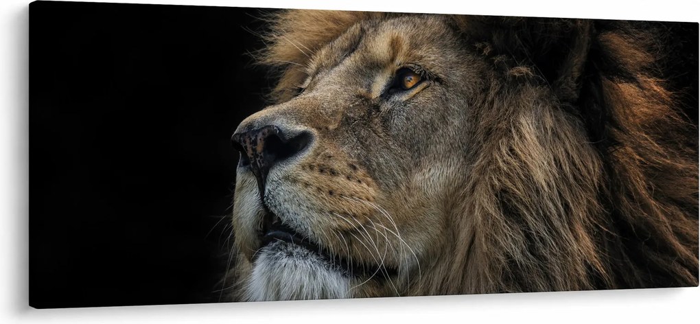 Tablou - Leul maiestuos (120x50 cm)